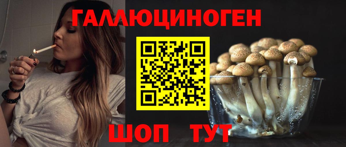 Псилоцибиновые грибы ЛСД Партизанск